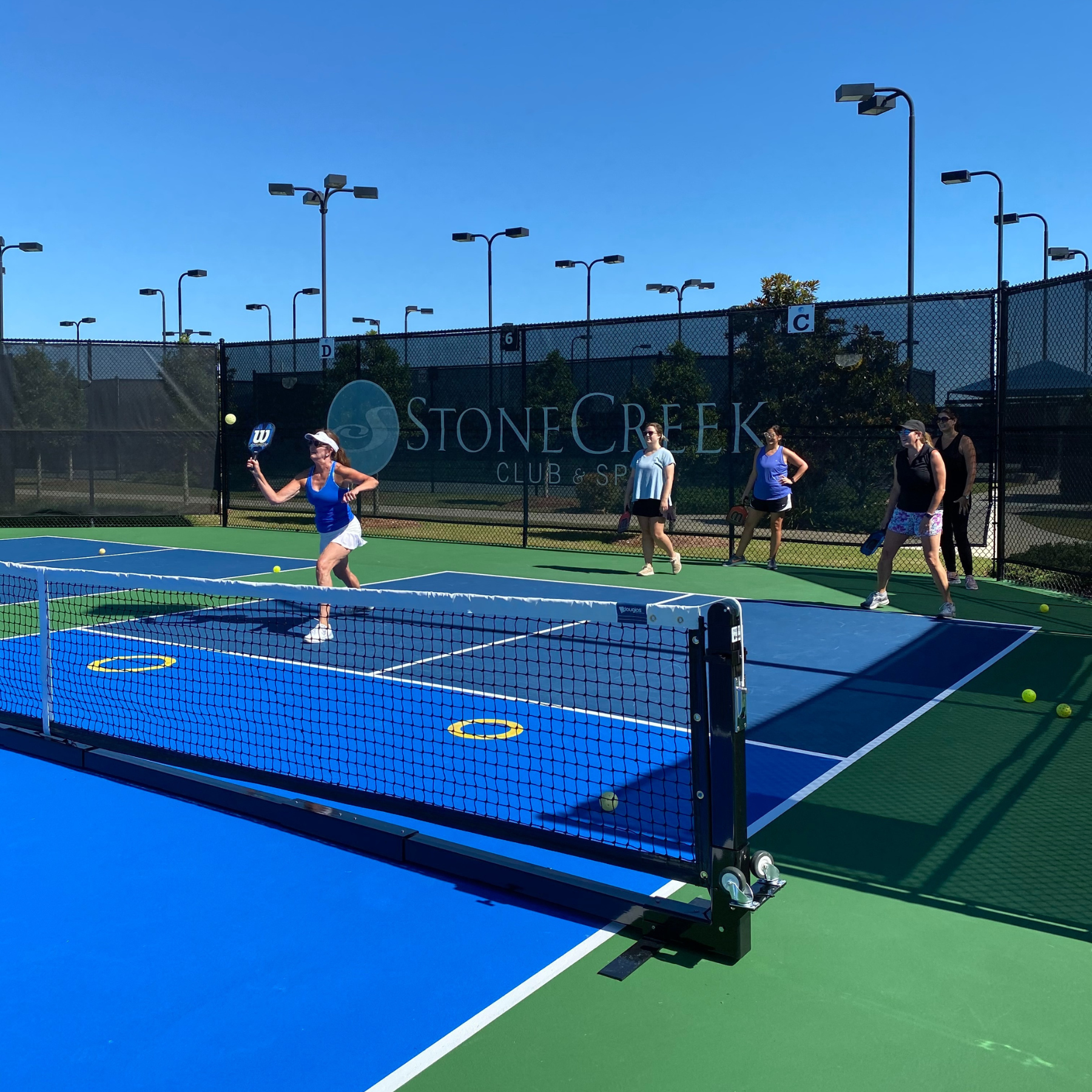 Pickle ball (2)